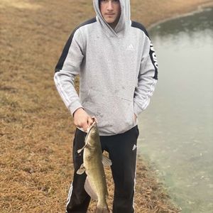 Meet your Posher, Corinne